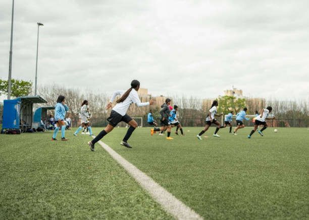 塞尔塔的布 塞尔塔的布