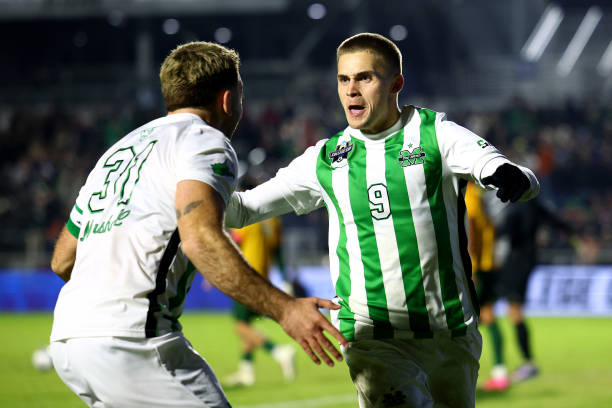 仅培养了年 仅培养了年